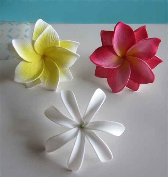 Aloha Christmas Flower Set - #2